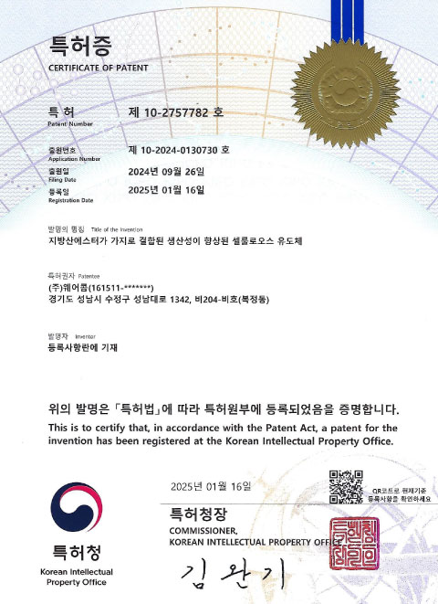특허/논문 이미지